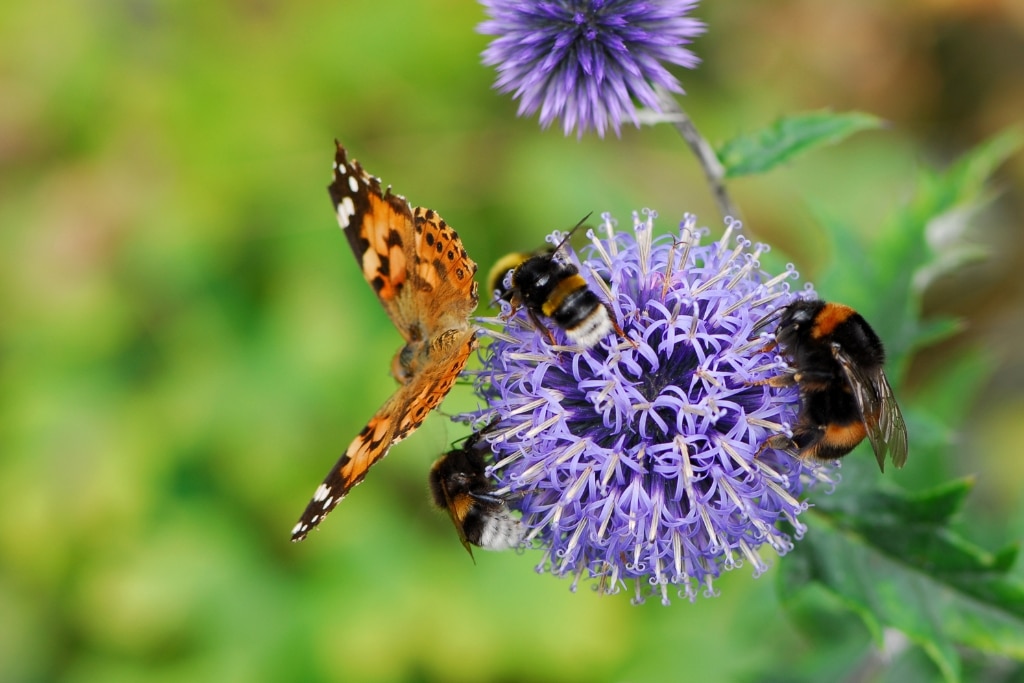 Workshop Life: Why Good Tools Matter More Than You Think