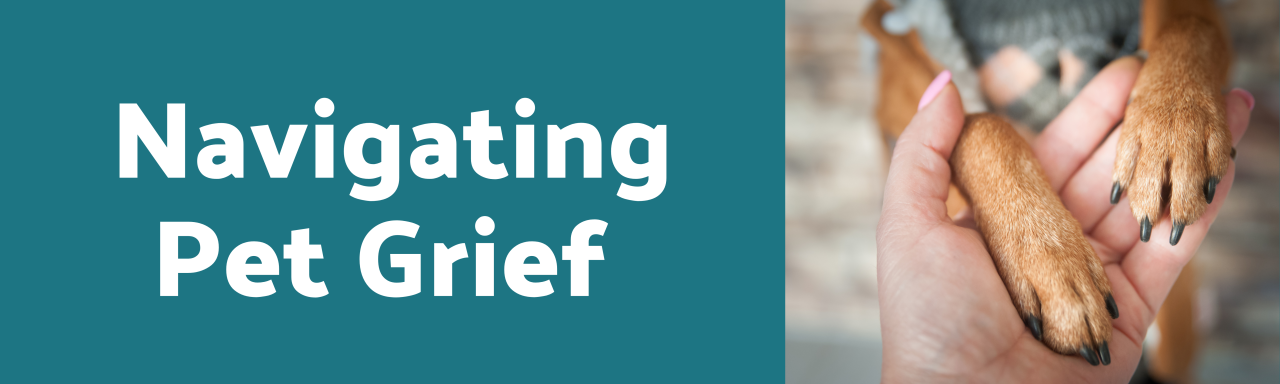 Riding Through Grief: Honoring Friends Lost on the Road