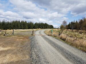 Riding on Sand and Gravel: Skills That Prevent Low-Side Crashes