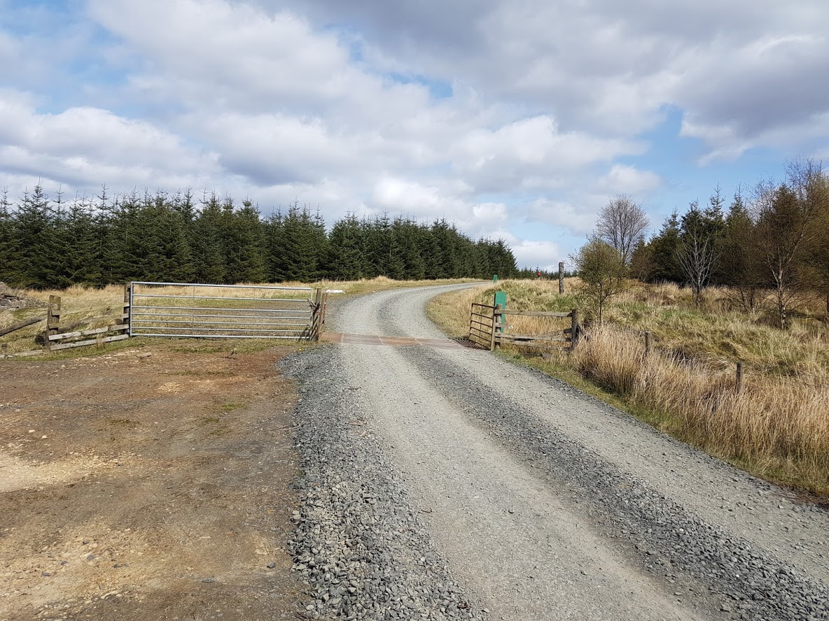 Riding on Sand and Gravel: Skills That Prevent Low-Side Crashes