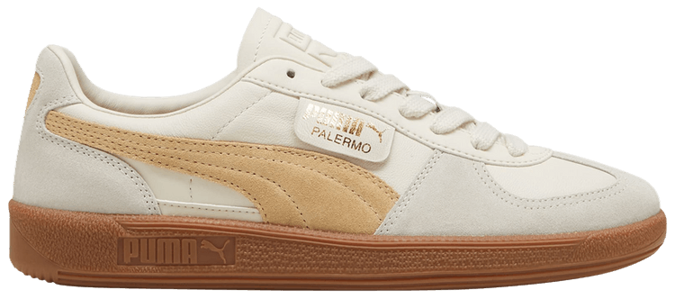 Fire and Ice Riding: From Desert Heat to Alpine Snow