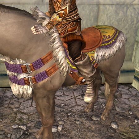 Winter Adventure Riding: How to Prepare for Icy First Expeditions