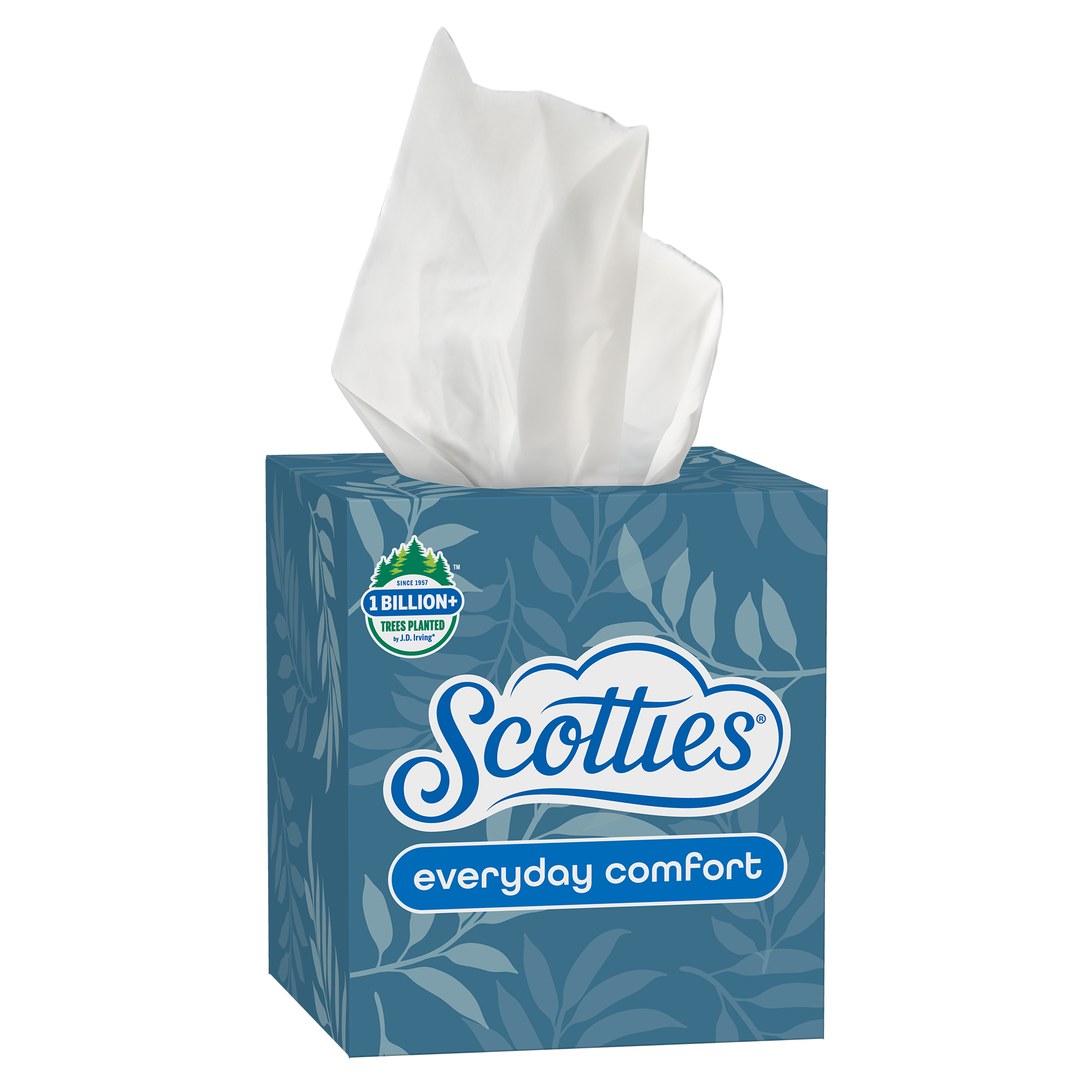 Italian All-Rounder Motorcycles: High-Tech Performance With Everyday Comfort