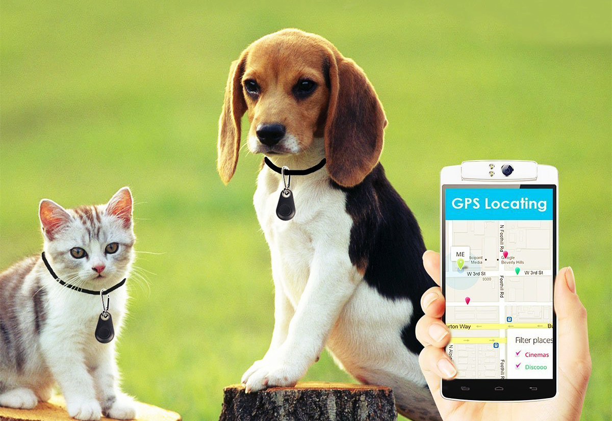 Street Trackers Explained: Dirt Style for Urban Riding