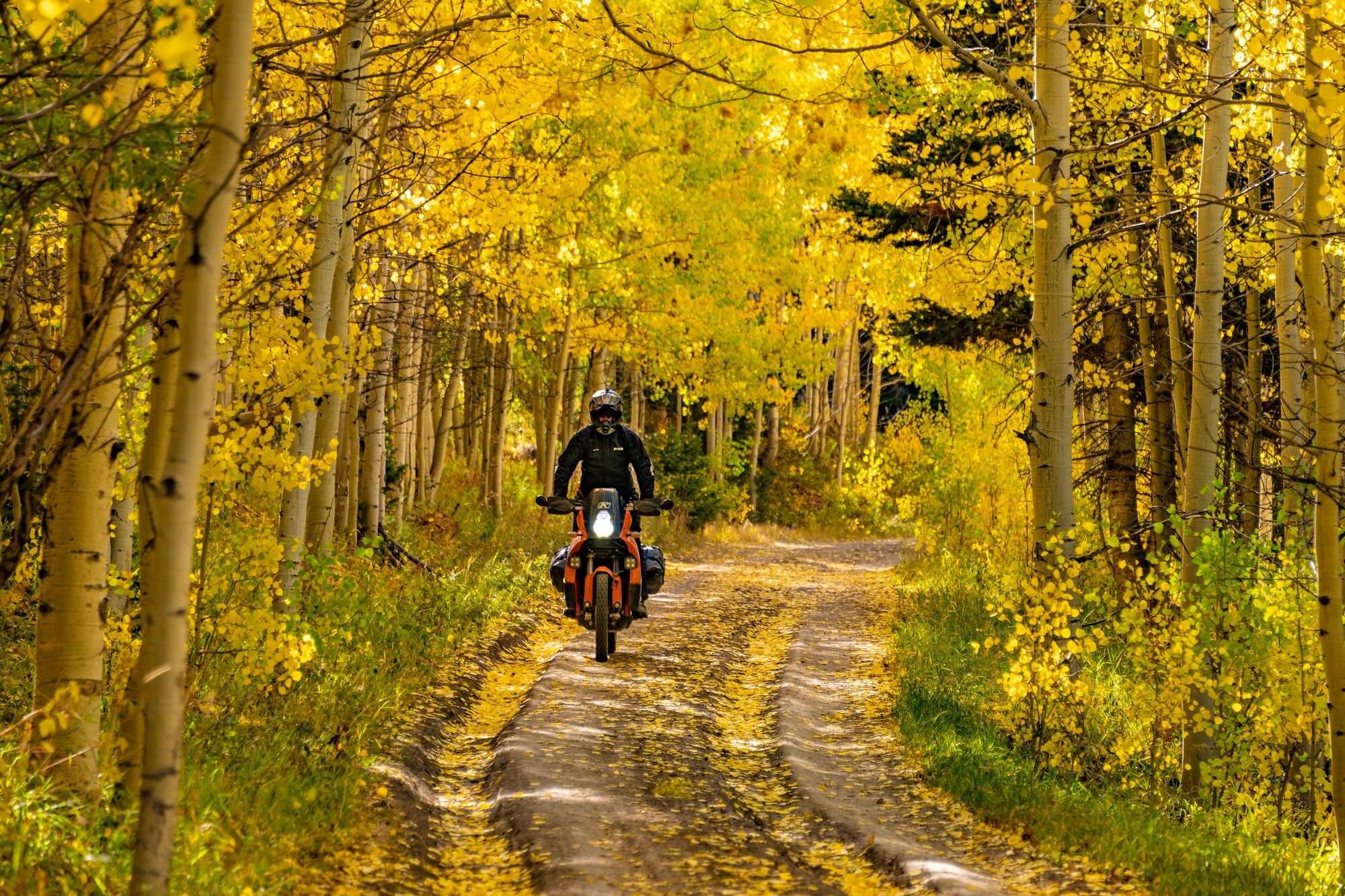 Autumn Motorcycle Loop Routes: Best Fall Rides for Color and Curves