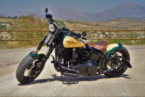 Harley Cross Bones Review: Dark Styling Meets Modern Engineering
