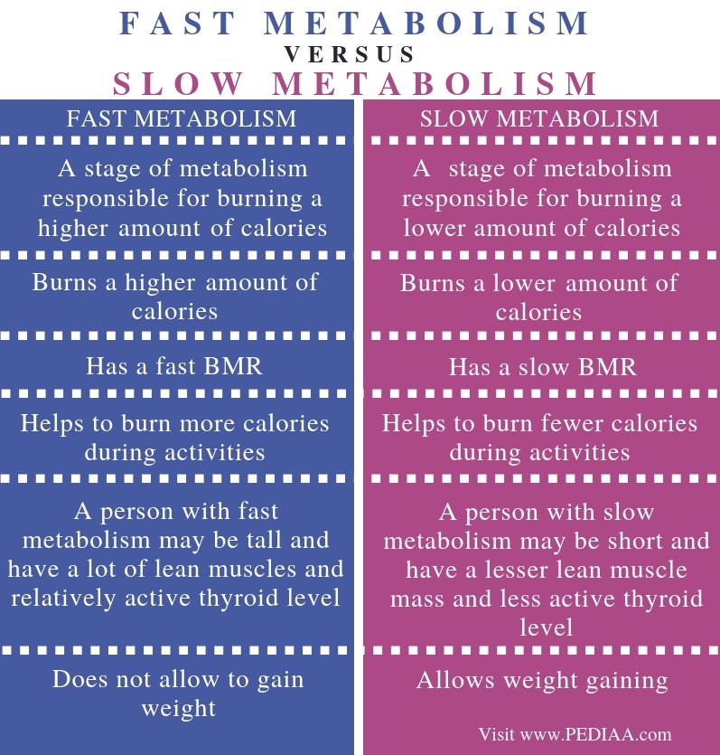 The Best Ways to Travel by Motorcycle: Fast Slow and Everywhere Between