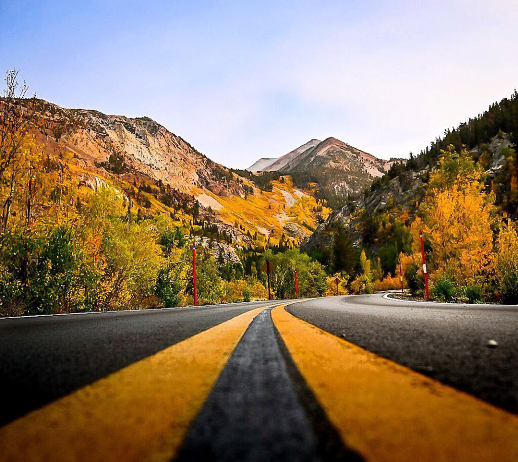 Mendocino Motorcycle Routes: Where Coastal Fog Meets Redwoods