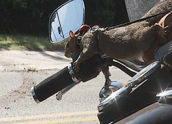 Making Big First Impressions: Motorcycle Design That Turns Heads