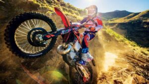 Newfoundland Adventure Motorcycling Guide: Coastal Roads and Wild Terrain