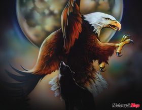 Bevin Findlay Profile: Life Racing and the Love of Two Wheels