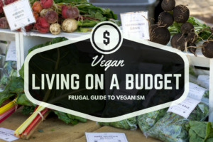 Budget Motorcycle Touring: Living the Frugal Riding Dream