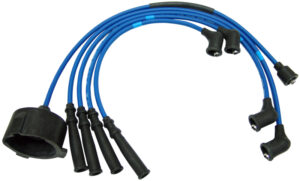 Prelude to Adventure: Short Rides That Spark Bigger Journeys