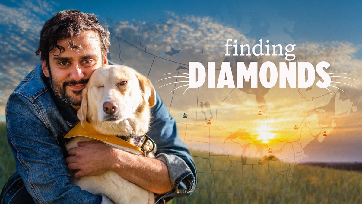 Hidden Gem Motorcycle Routes: Finding Diamonds in the Rough