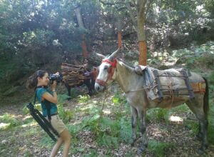 Portugal Motorcycle Travel Guide: Coastlines Cork Forests and Curves