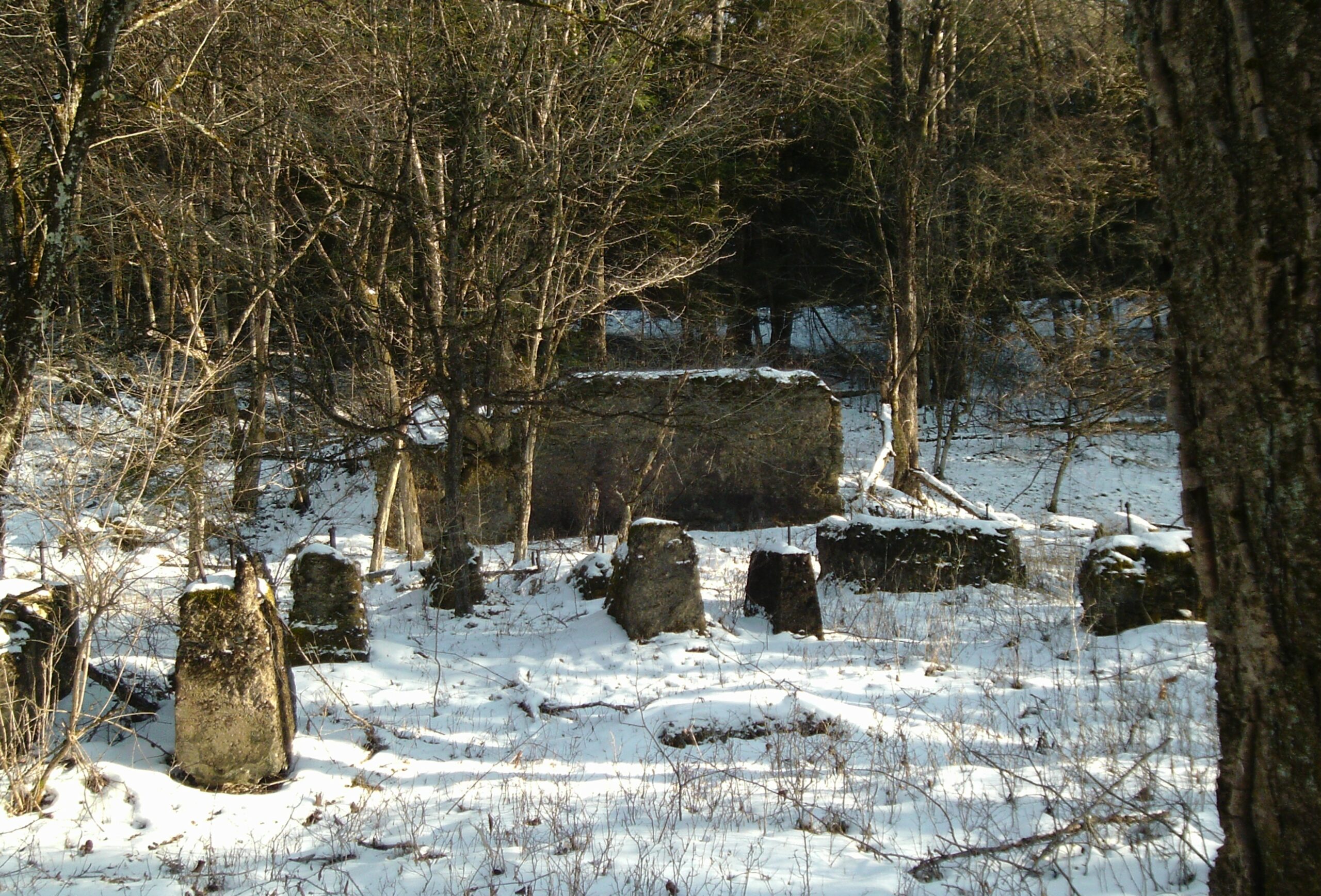 Pennsylvania Wilds Motorcycle Tour: Forest Roads and Empty Curves