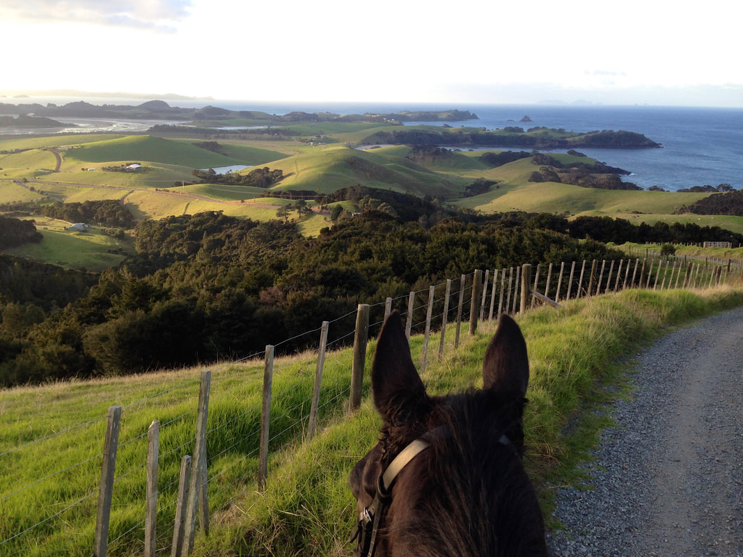 Atlantic Archipelago Motorcycle Tour: Coastal Riding at Its Best