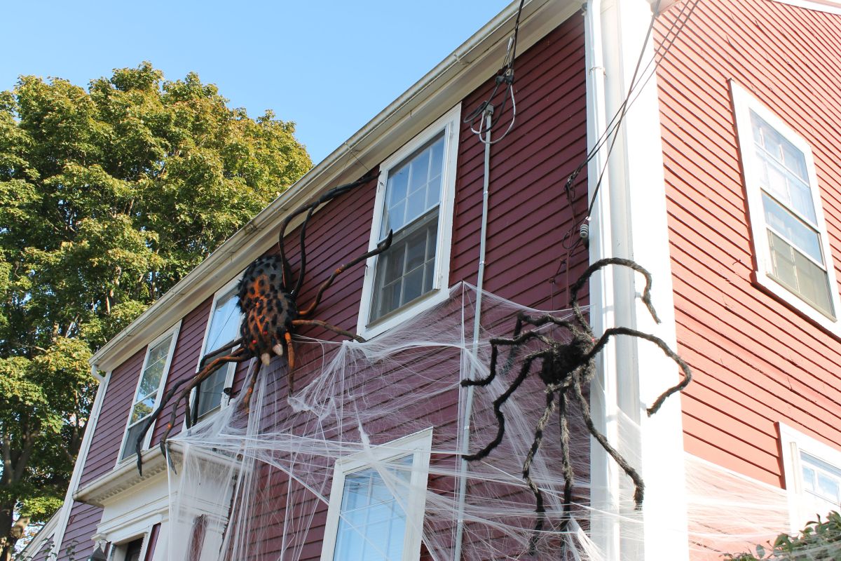 Motorcycle Parades and Community Rides: Why Everyone’s Invited