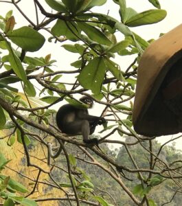 Zen and the Art of Bailing: Lessons Learned From Pushing Too Hard