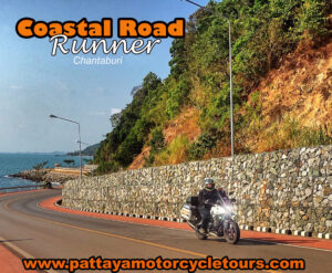 Whale Route Motorcycle Tour: Coastal Riding With Ocean Giants