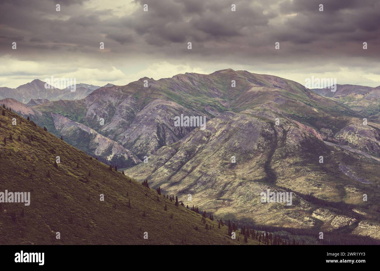 Dempster Highway Motorcycle Guide: Arctic Riding Above the Tree Line