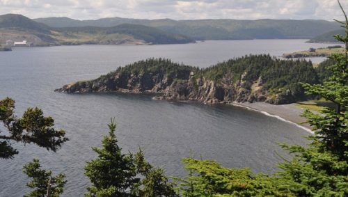 Newfoundland Motorcycle Travel Guide: Coastal Roads Culture and Cod