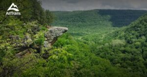 Arkansas Motorcycle Adventures: Ozark Curves and Forest Trails