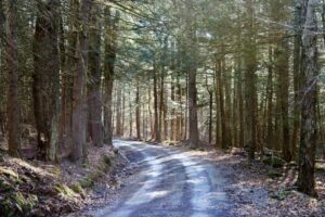 Bluegrass Backroad Motorcycle Tour: Riding Through Music Country