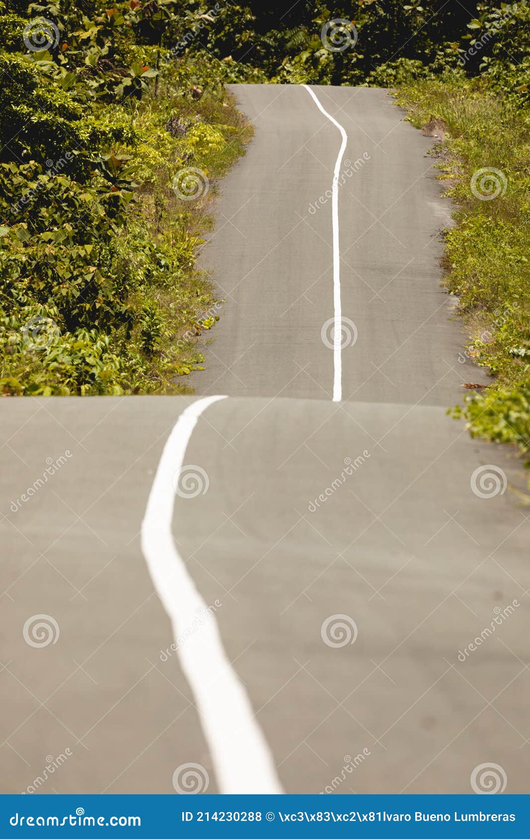Tofino Turnaround Ride: Pacific Coast Curves and Rainforest Roads