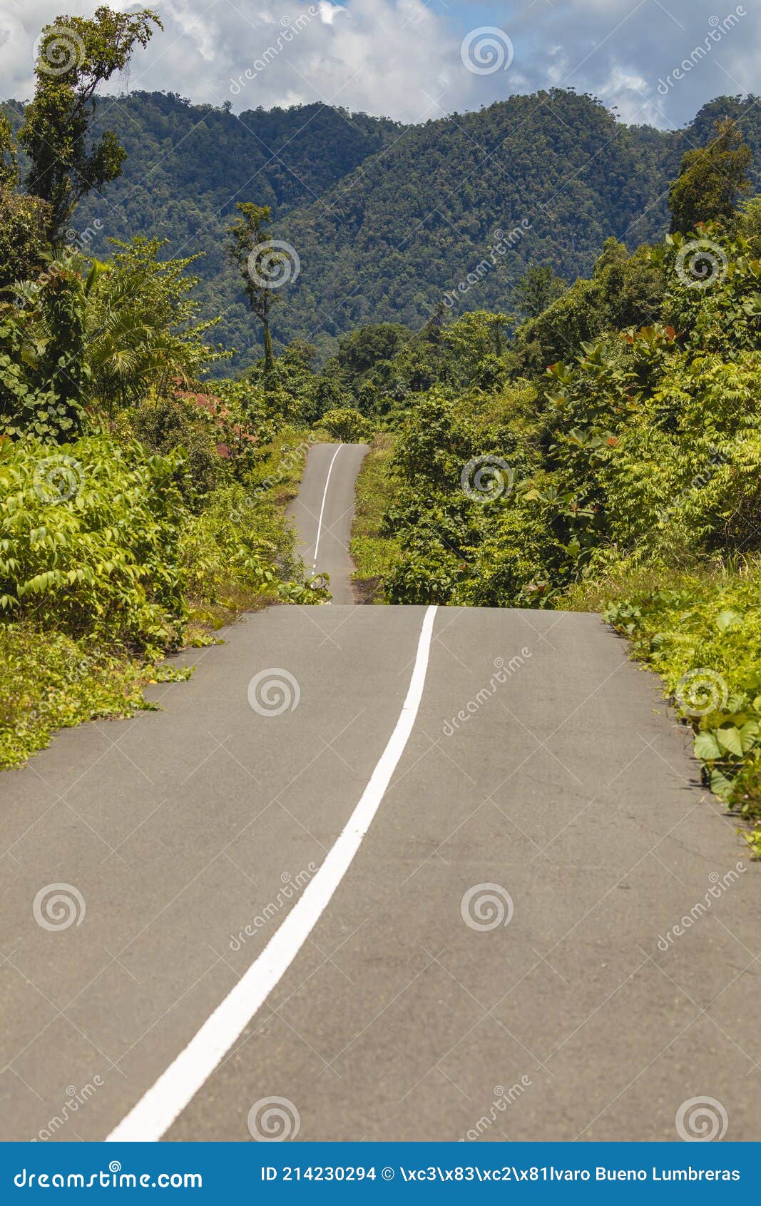 Monashee Mountains Motorcycle Madness: Alpine Curves and Remote Roads