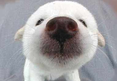 Embarrassing Motorcycle Moments: Lessons Learned the Hard Way