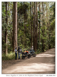 Sunshine Coast Motorcycle Routes: Ocean Views and Forest Curves