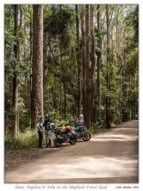 Sunshine Coast Motorcycle Routes: Ocean Views and Forest Curves