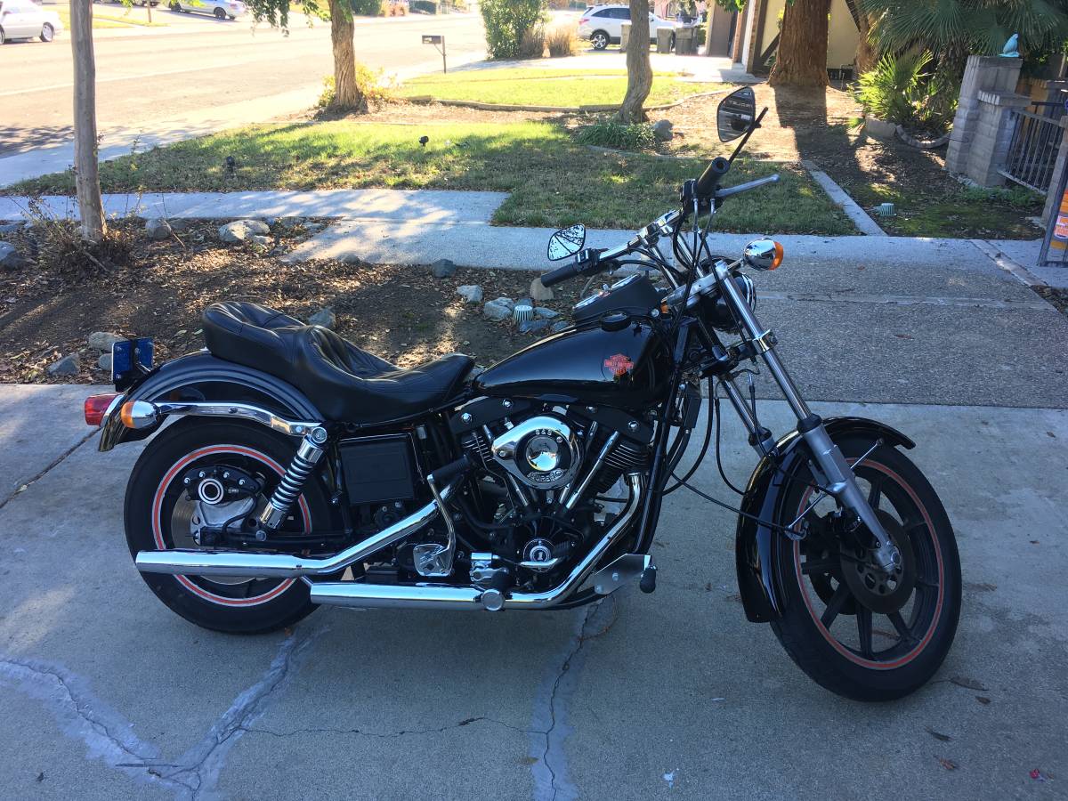 1981 Harley Sturgis & FLH—Classic Touring Icons