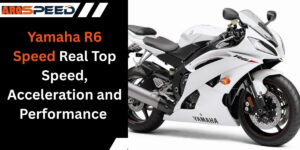 2001 Yamaha R6—Top Speed & Supersport Legacy