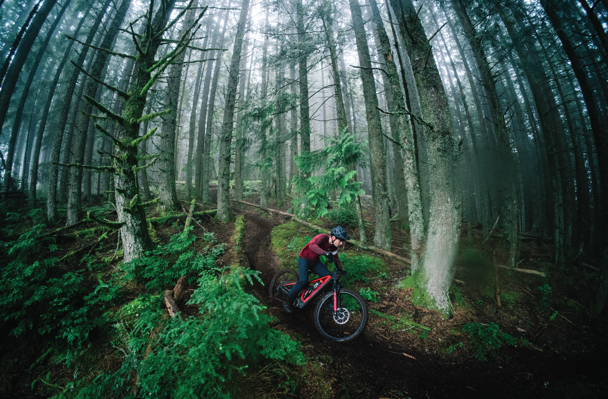 Why 2006 Bikes Feel More Raw Than Today’s