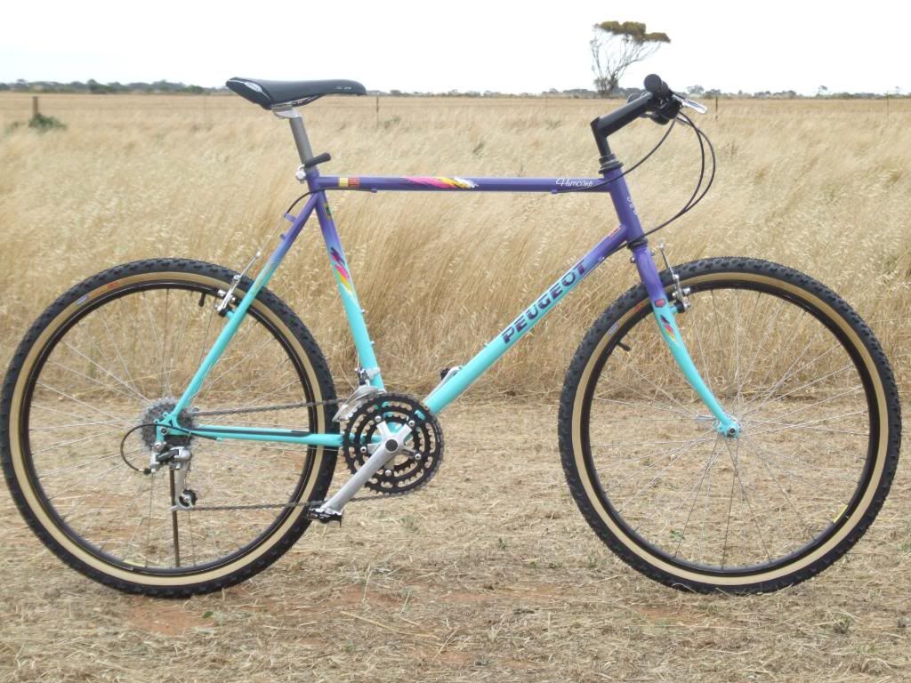 Beginner Bikes of the 90s—Still Worth Buying Today?