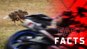 2002 Superbike Top Speeds—Real Numbers Revealed