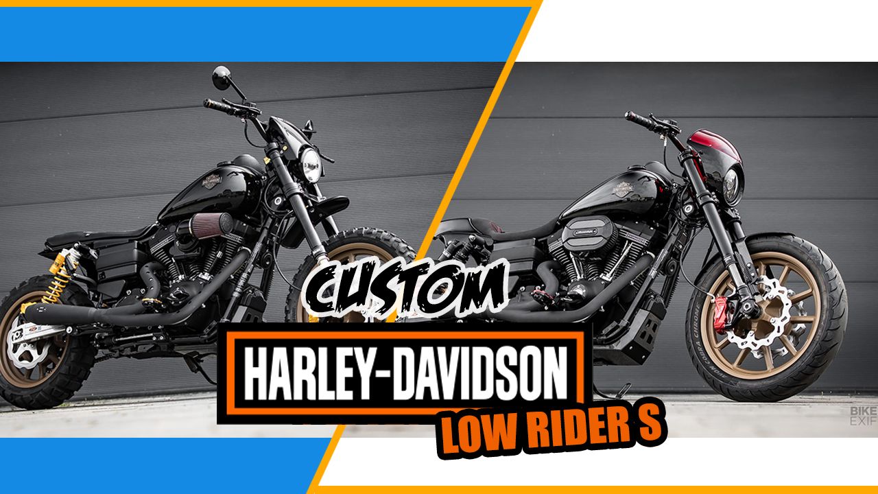 1998 Harley Dyna Lineup—Custom Style Explained