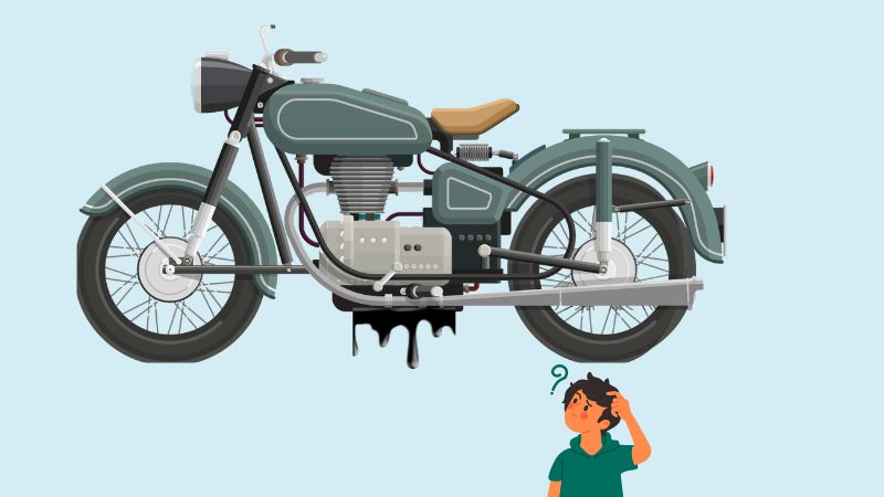 DIY: Fixing an Oil Leak on a Harley Chopper Motor