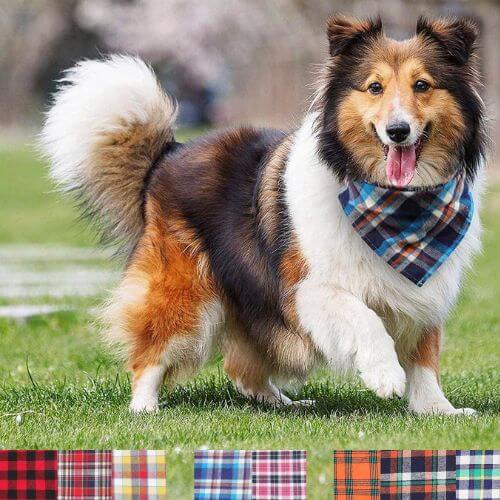 Chopper Bandanas: Style vs. Function