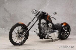 Big Bear Choppers Review: Are They Worth the Price?